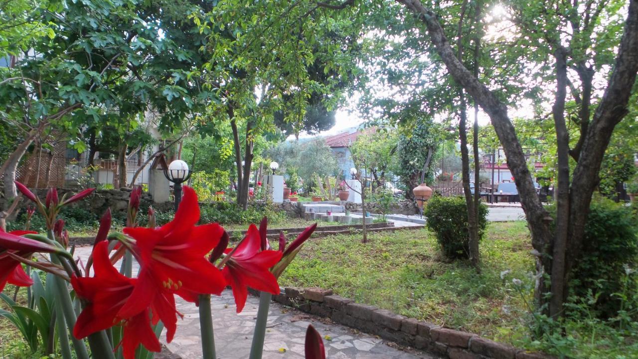 Native Hotel Ovacık Extérieur photo
